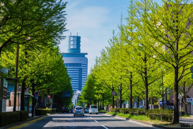 宮城県 仙台市のイメージ